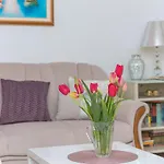 Centar Glavas * Makarska