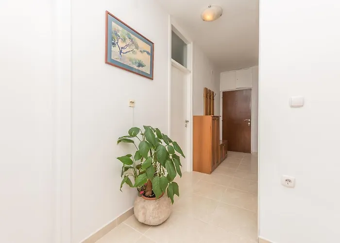 Centar Glavas Makarska