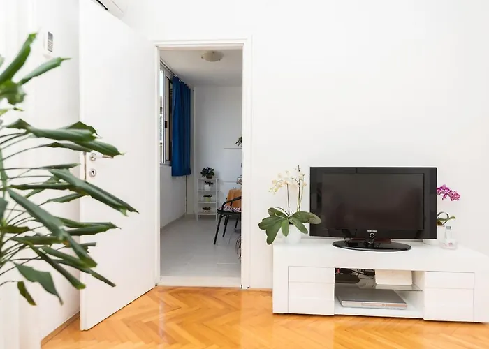 Centar Glavas * Makarska