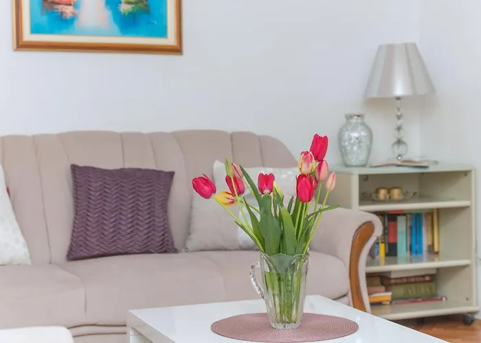 Centar Glavas * Makarska