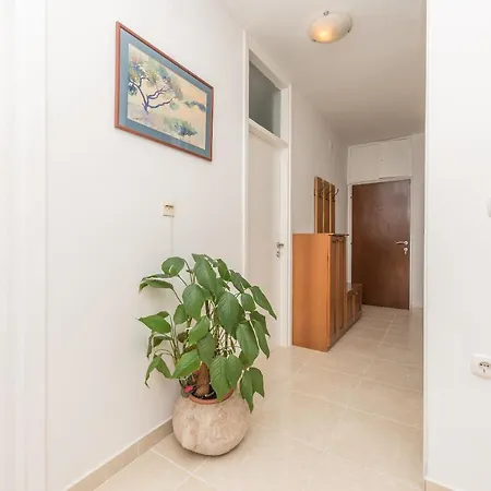 Centar Glavas Makarska