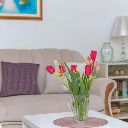 Centar Glavas * Makarska